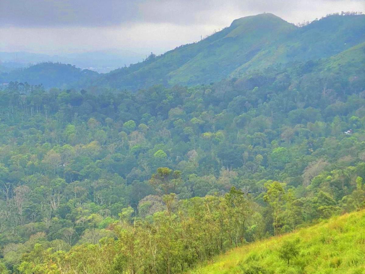 The Windy Mist Resort Munnar Chinnakanal Εξωτερικό φωτογραφία